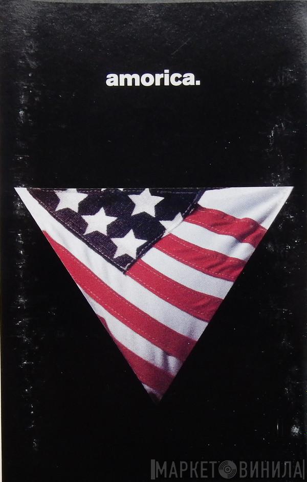  The Black Crowes  - Amorica
