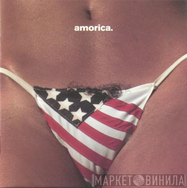  The Black Crowes  - Amorica.