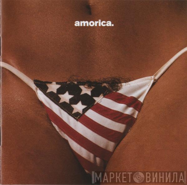  The Black Crowes  - Amorica.