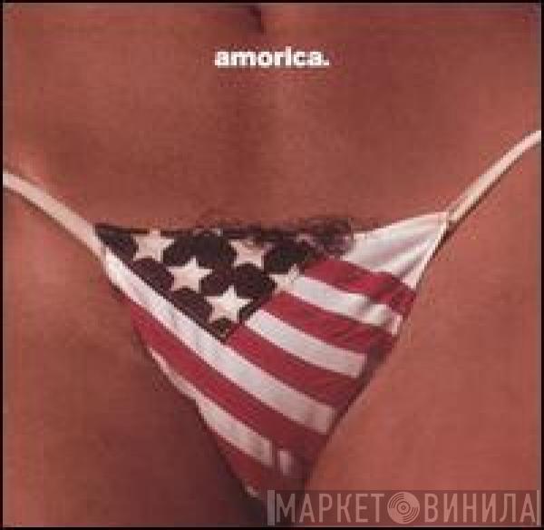  The Black Crowes  - Amorica