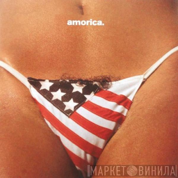  The Black Crowes  - Amorica