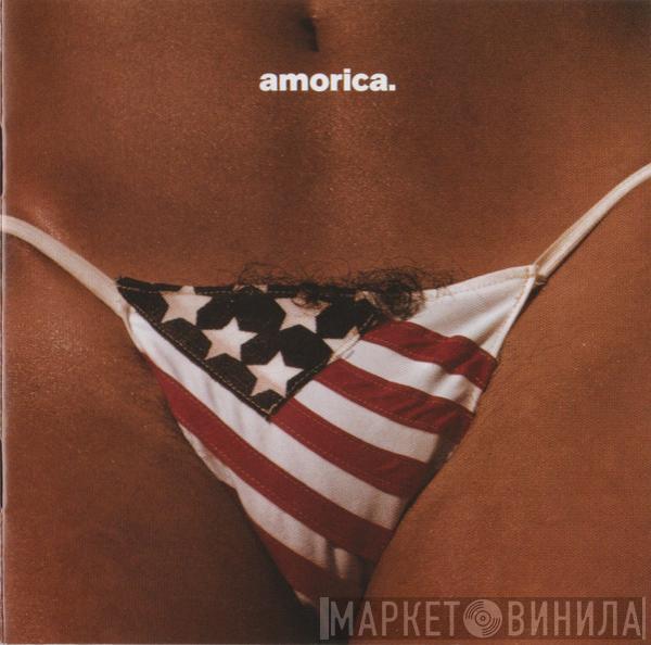  The Black Crowes  - Amorica.