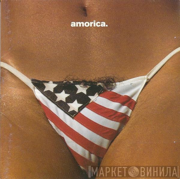  The Black Crowes  - Amorica.