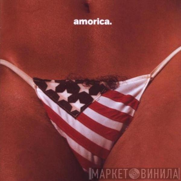  The Black Crowes  - Amorica