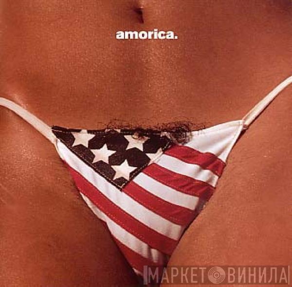  The Black Crowes  - Amorica