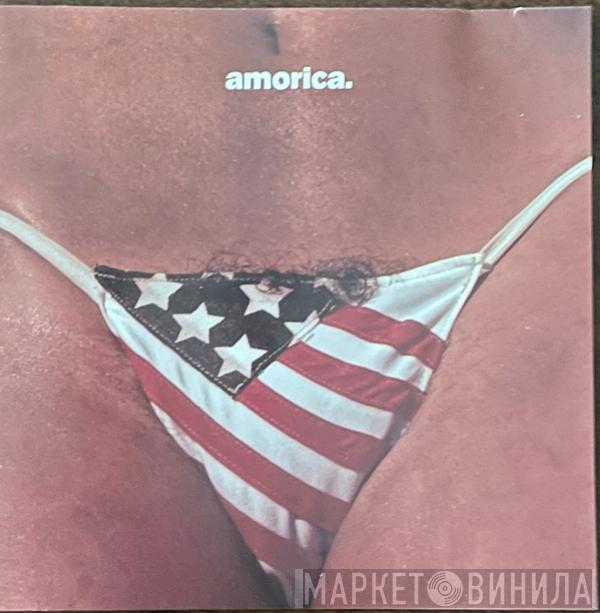  The Black Crowes  - Amorica.