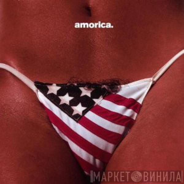  The Black Crowes  - Amorica