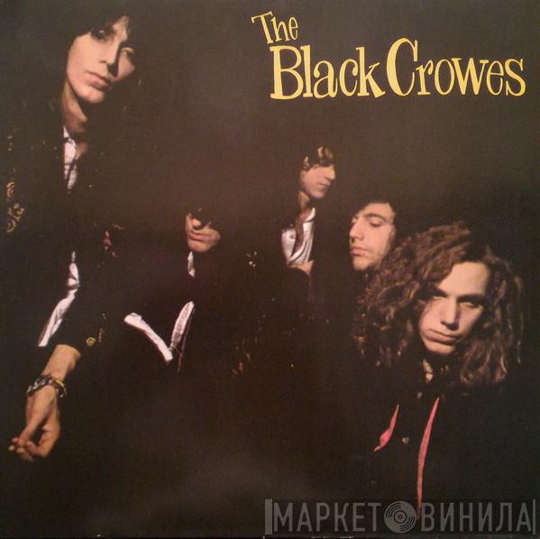  The Black Crowes  - Shake Your Money Maker