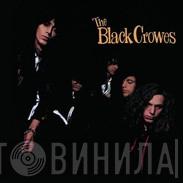  The Black Crowes  - Shake Your Money Maker