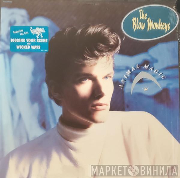  The Blow Monkeys  - Animal Magic