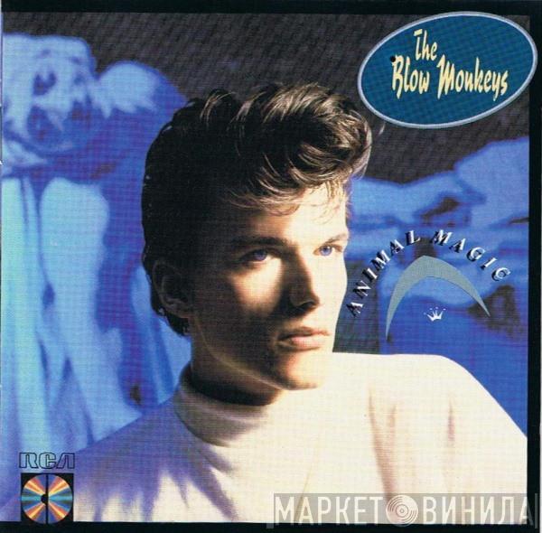  The Blow Monkeys  - Animal Magic
