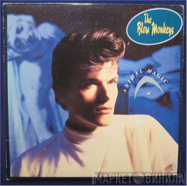 The Blow Monkeys  - Animal Magic