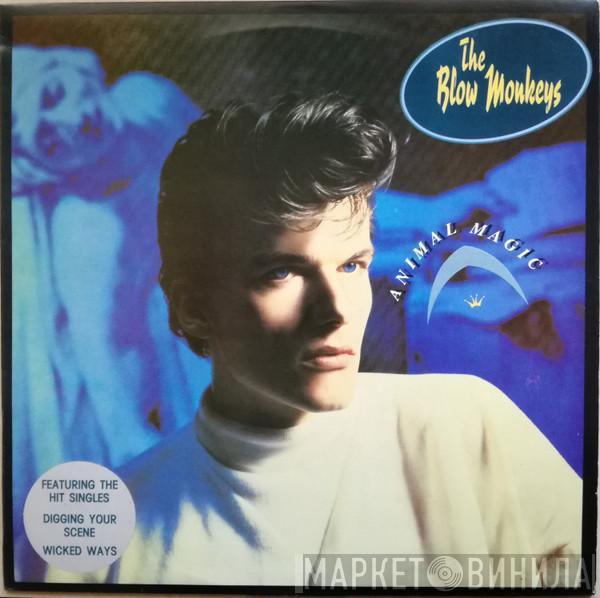  The Blow Monkeys  - Animal Magic