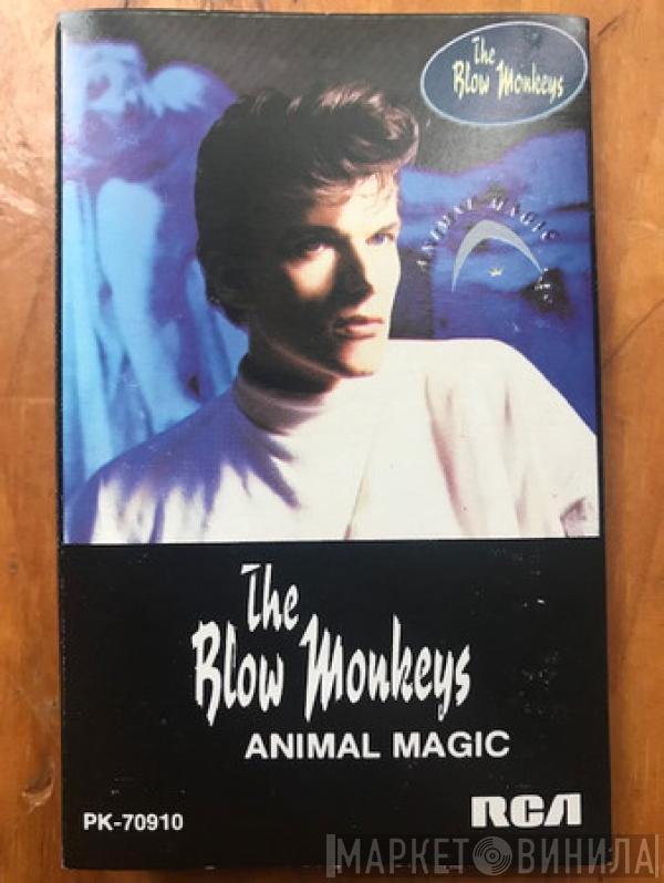  The Blow Monkeys  - Animal Magic