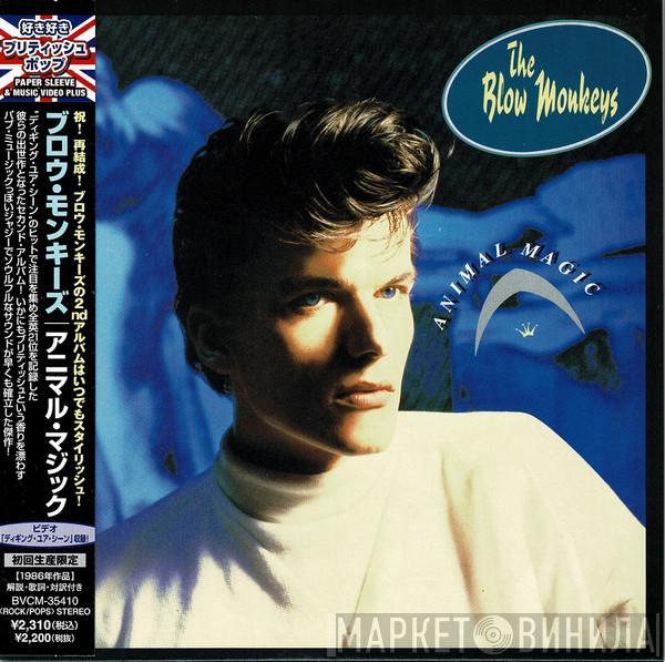  The Blow Monkeys  - Animal Magic