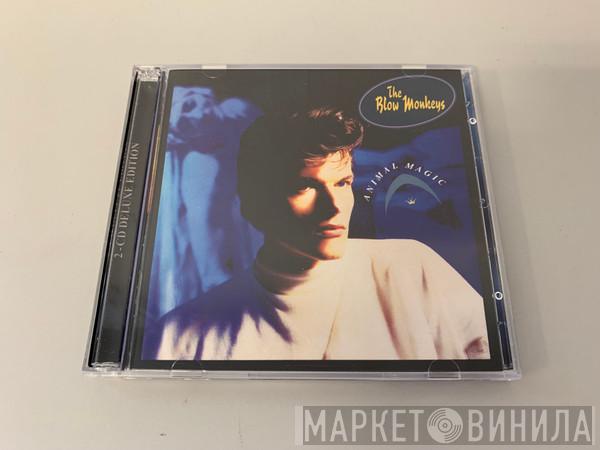  The Blow Monkeys  - Animal Magic