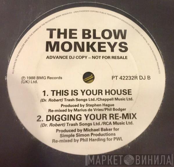 The Blow Monkeys - It Pays To Be Long