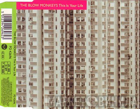  The Blow Monkeys  - This Is Your Life