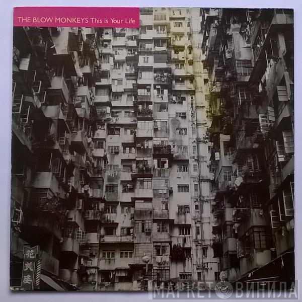  The Blow Monkeys  - This Is Your Life