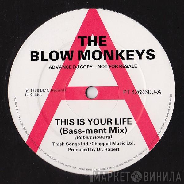  The Blow Monkeys  - This Is Your Life