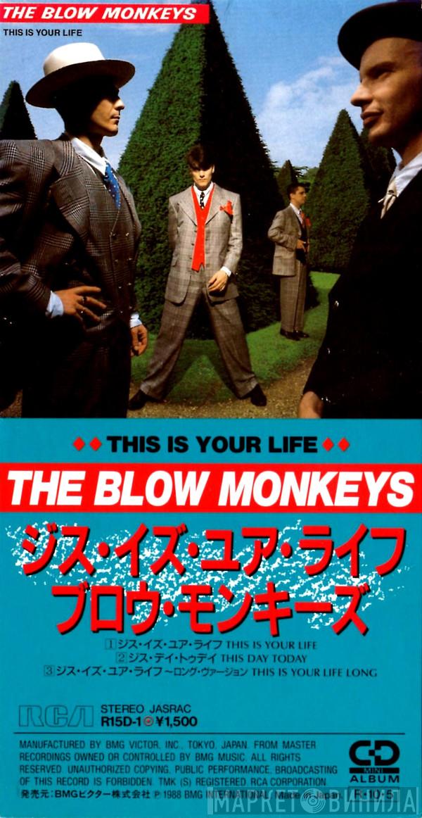  The Blow Monkeys  - This Is Your Life