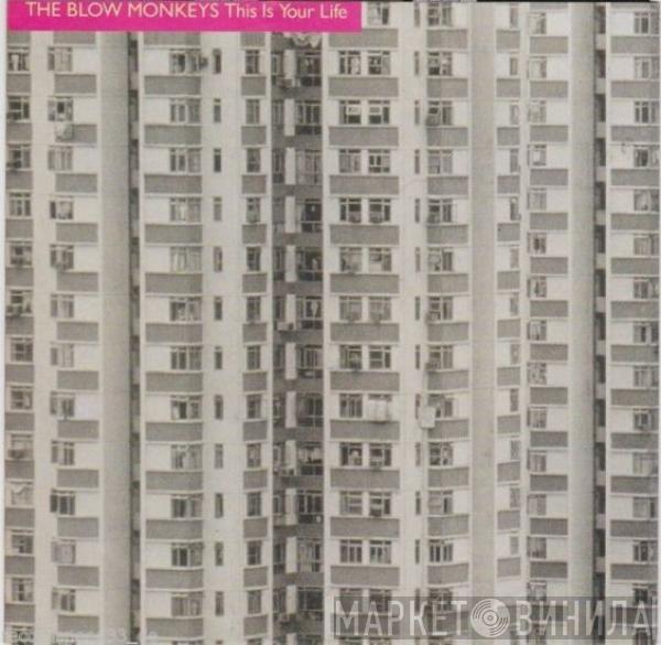  The Blow Monkeys  - This Is Your Life
