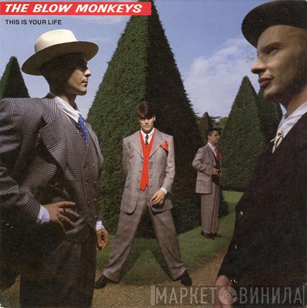  The Blow Monkeys  - This Is Your Life