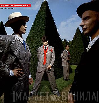  The Blow Monkeys  - This Is Your Life