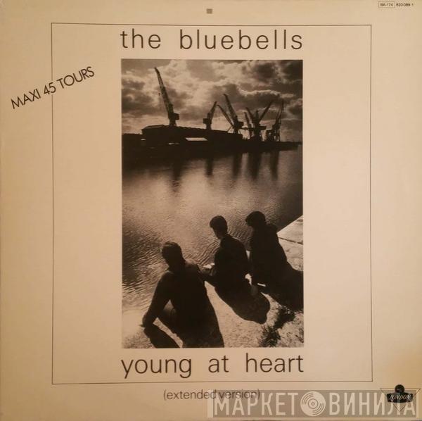  The Bluebells  - Young At Heart