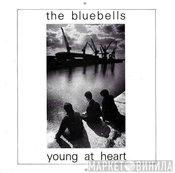  The Bluebells  - Young At Heart