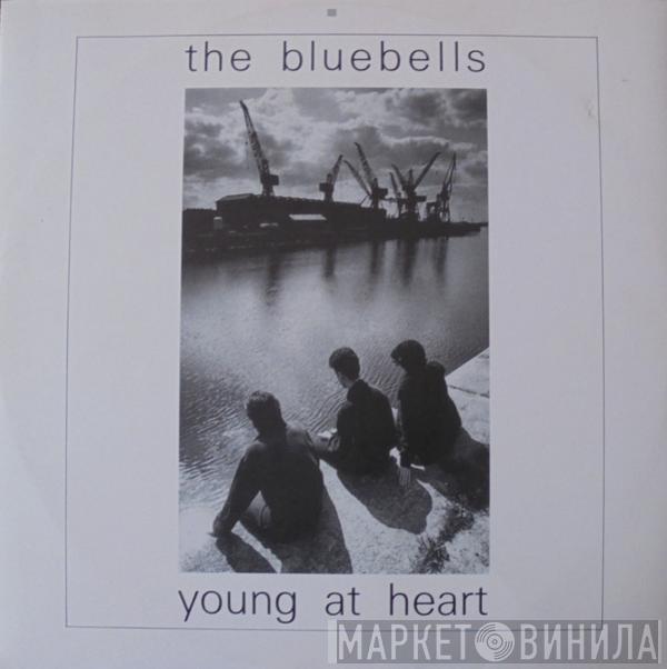  The Bluebells  - Young At Heart