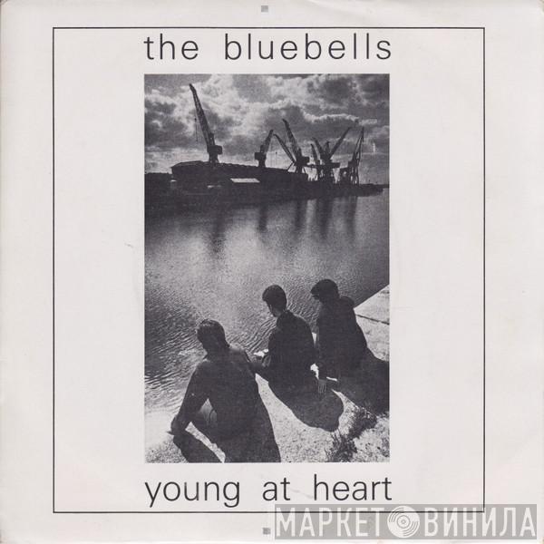  The Bluebells  - Young At Heart