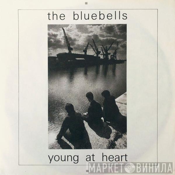  The Bluebells  - Young At Heart