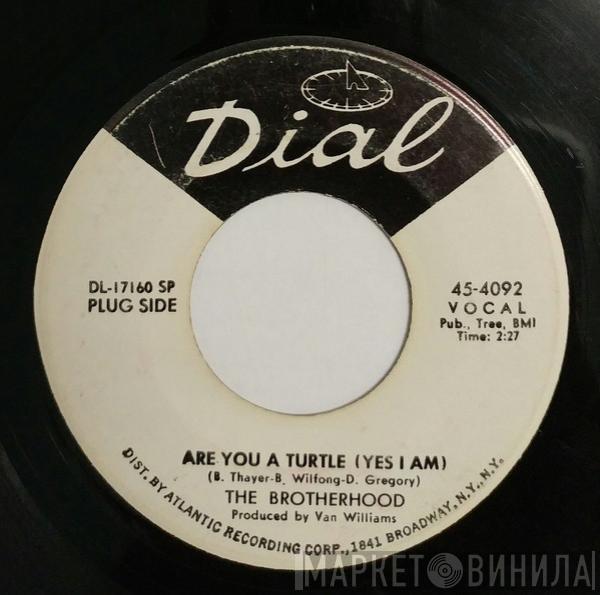 The Brotherhood  - Are You A Turtle (Yes I Am) / Mari
