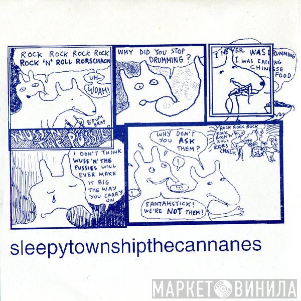 The Cannanes, Sleepy Township - Sleepytownshipthecannanes