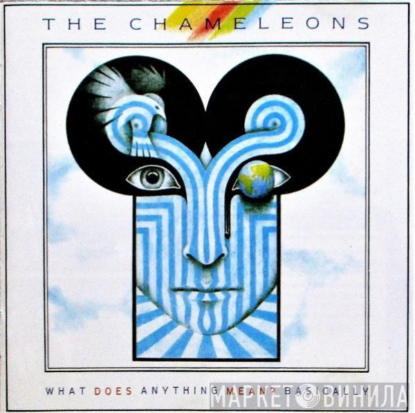  The Chameleons  - What Does Anything Mean?  Basically