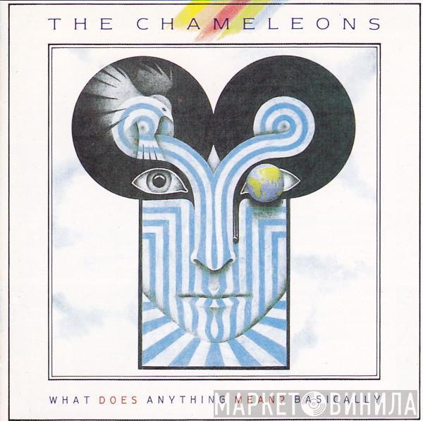  The Chameleons  - What Does Anything Mean?  Basically