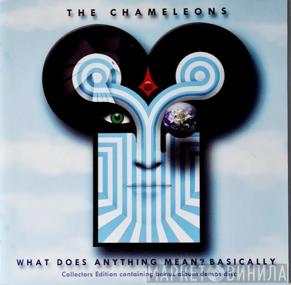  The Chameleons  - What Does Anything Mean? Basically