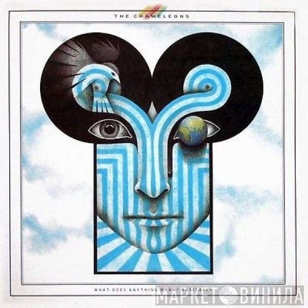  The Chameleons  - What Does Anything Mean?  Basically