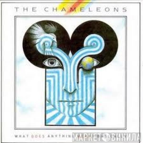  The Chameleons  - What Does Anything Mean? Basically