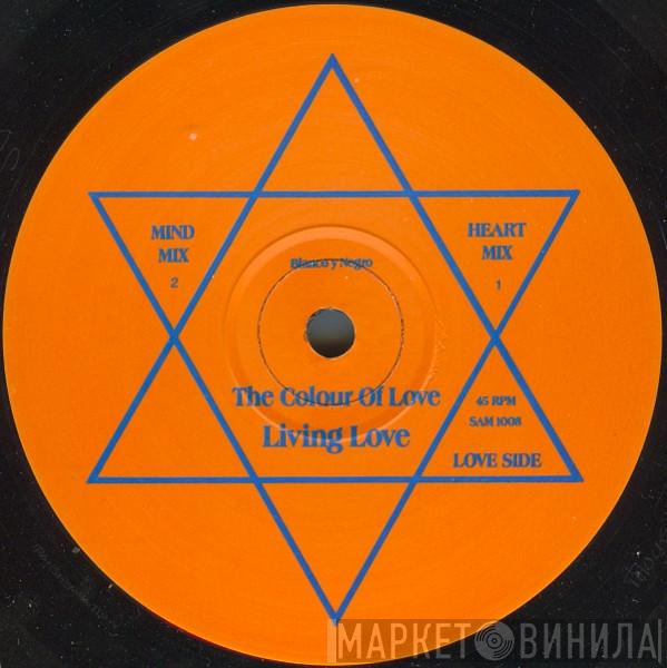 The Colour Of Love - Living Love