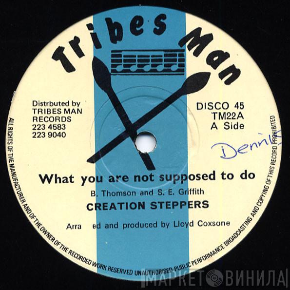 The Creation Steppers - What You Are Not Supposed To Do