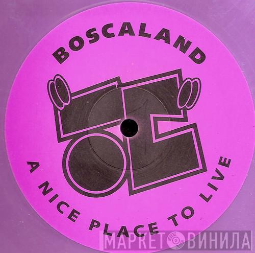 The Dentist From Boscaland - The Dentist From Boscaland