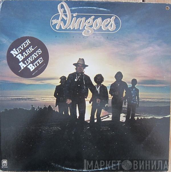 The Dingoes - Five Times The Sun