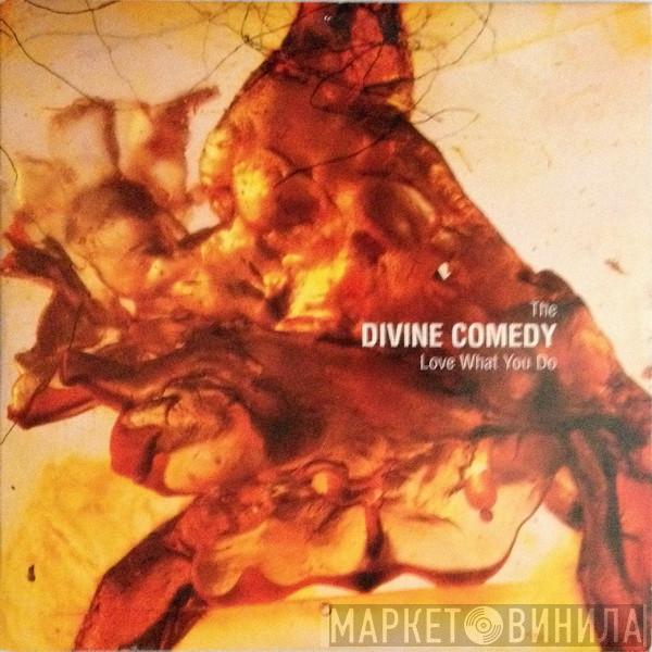 The Divine Comedy  - Love What You Do