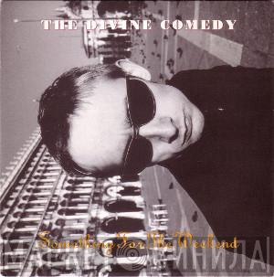 The Divine Comedy - Something For The Weekend