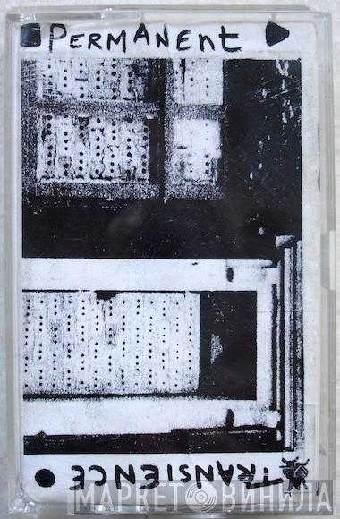 The Door And The Window - Permanent Transience
