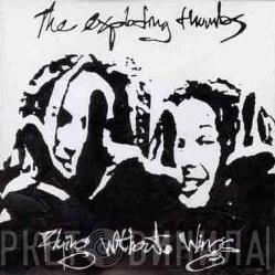 The Exploding Thumbs  - Flying Without Wings