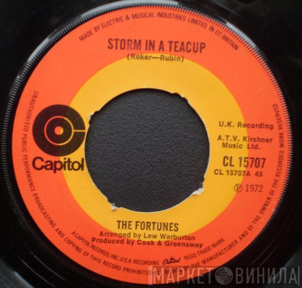 The Fortunes - Storm In A Teacup