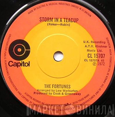 The Fortunes - Storm In A Teacup